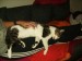 Thumbs/tn_Jacky 007.jpg